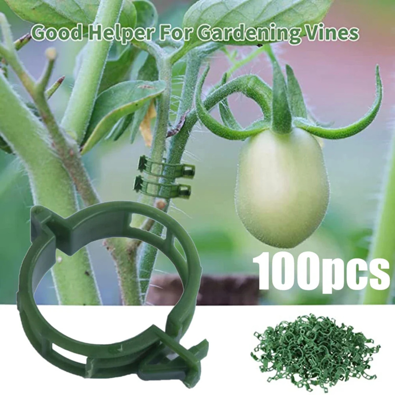 Plant Parent Tools - 100 個/植物サポートクリッププラスチックタイトレリスステーククリップガーデン野菜トマト温室ホルダーガーデンツールアクセサリー//