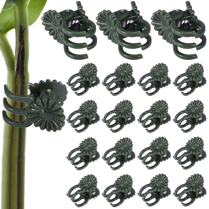 Plant Parent Tools - 偽の植物クリップ,胸,蝶,蘭,フラワークリップ,ガーデンアクセサリー,ツール,20個,50個,100個のサポート