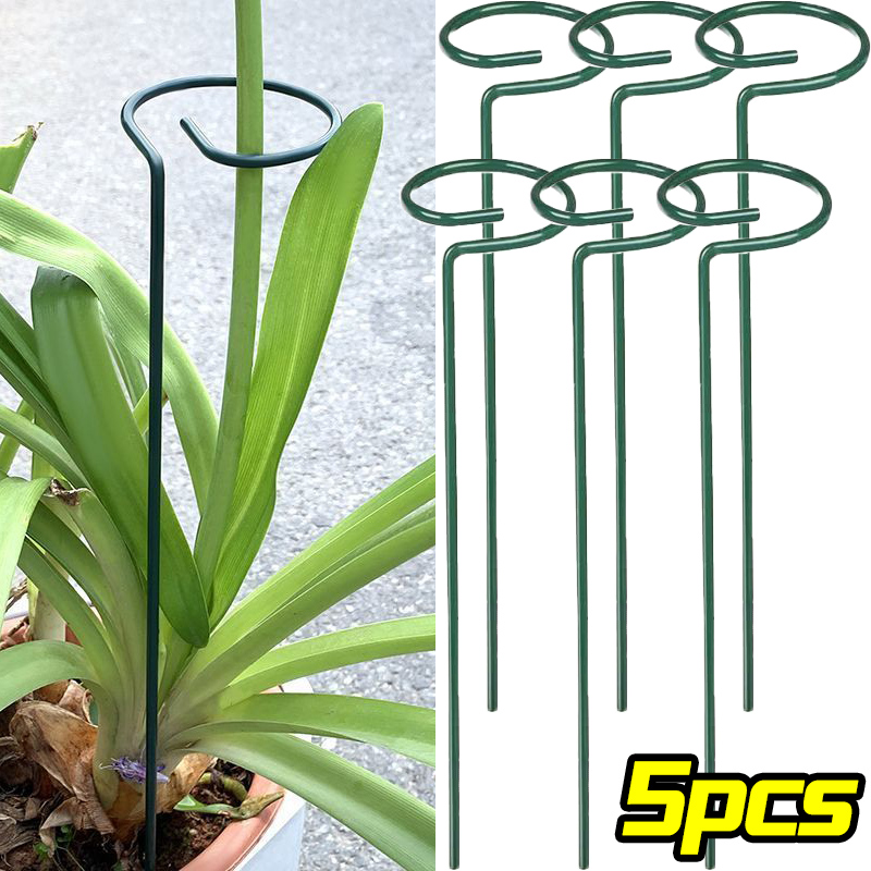 1/10 個ガーデンサポートステークリング金属単一茎植物低木 - Plant Parent Tools のレビューと価格