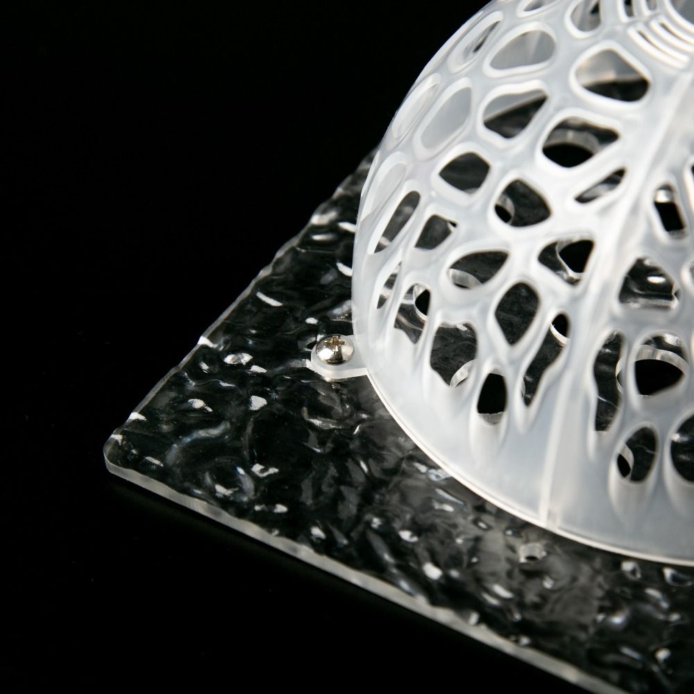 再利用可能な植物土壌プロテクターカバープラスチック中空植物サ - Plant Parent Tools のレビューと価格