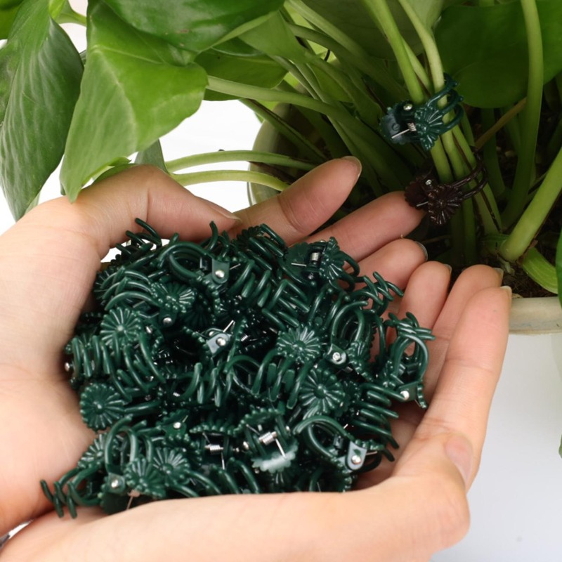 卸売ミニ植物サポートクリップ、庭の花、蘭、つる性植物用固定ク - Plant Parent Tools のレビューと価格