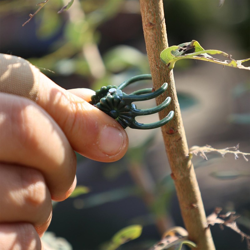 卸売ミニ植物サポートクリップ、庭の花、蘭、つる性植物用固定ク - Plant Parent Tools のレビューと価格