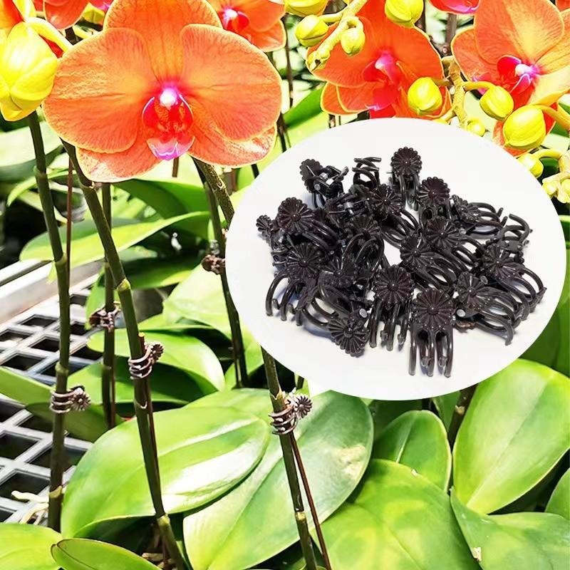 卸売ミニ植物サポートクリップ、庭の花、蘭、つる性植物用固定ク - Plant Parent Tools のレビューと価格