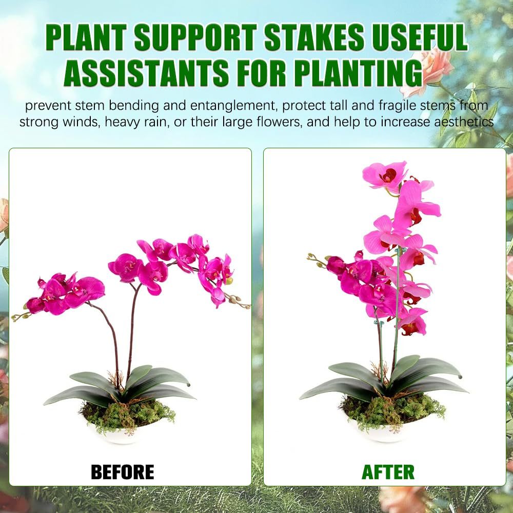 5/10 個植物サポートスタンド蝶蘭の花鉢植え固定ロッド再利 - Plant Parent Tools のレビューと価格