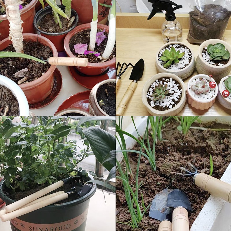 3PC/1 セットミニガーデニングツールセットポータブル小型 - Plant Parent Tools のレビューと価格