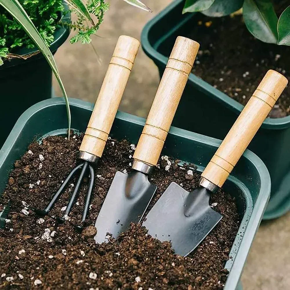 3 ピース/セットミニガーデンツールセット小型屋内植物ケア掘 - Plant Parent Tools のレビューと価格