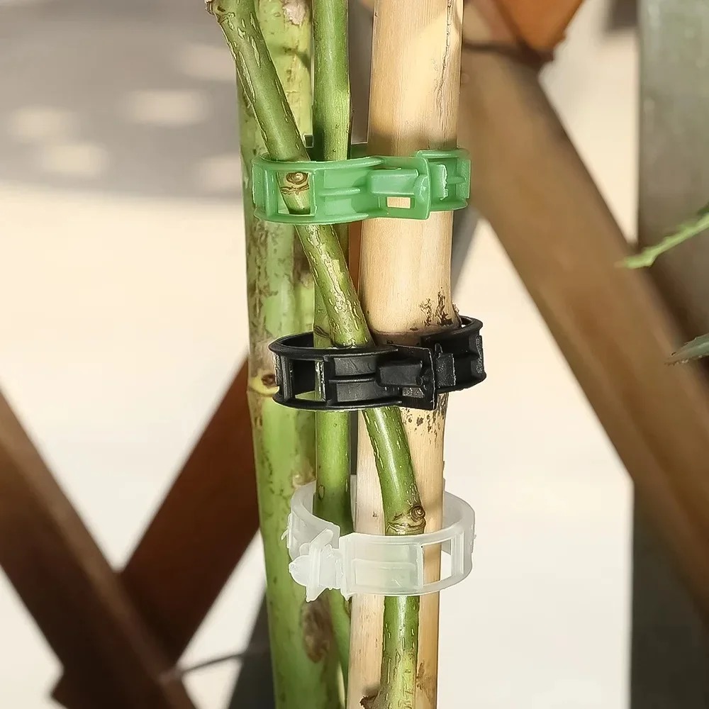 100/10 個植物サポートクリッププラスチックバックル再利 - Plant Parent Tools のレビューと価格
