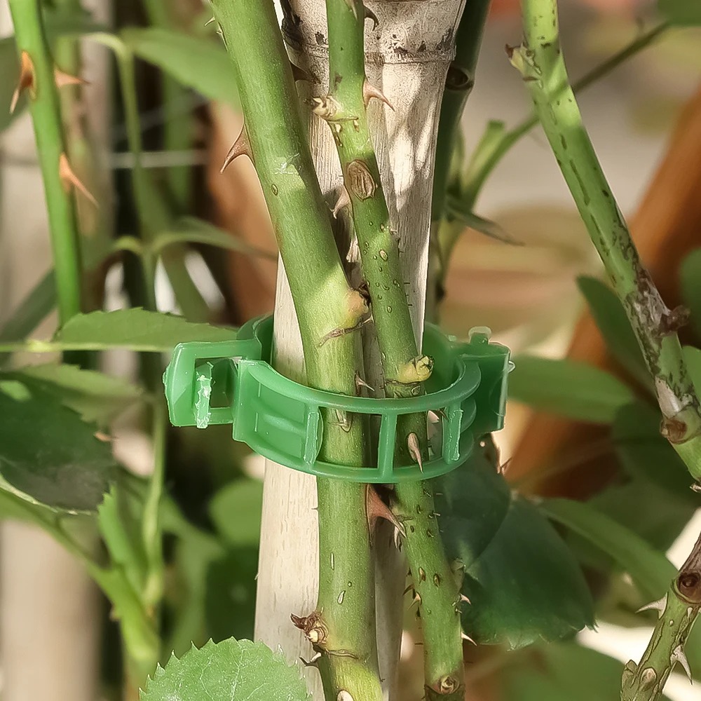 100/10 個植物サポートクリッププラスチックバックル再利 - Plant Parent Tools のレビューと価格
