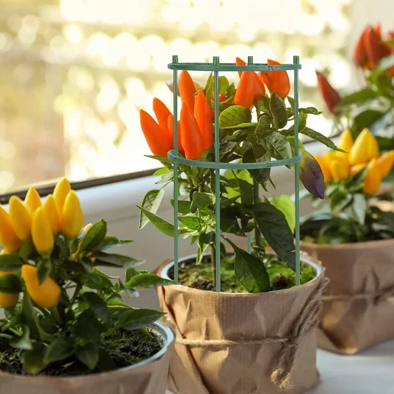 プラスチック製植物支柱スタンド 花や温室の配置用支柱 固定棒 - Plant Parent Tools のレビューと価格