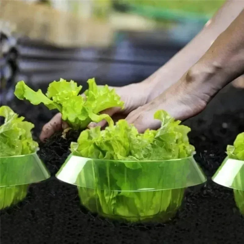植物ナメクジ保護リング野菜カバー植物カタツムリ首輪ガードグリ - Plant Parent Tools のレビューと価格