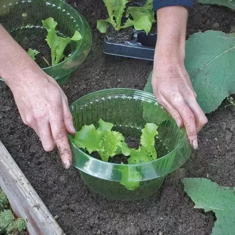 植物ナメクジ保護リング野菜カバー植物カタツムリ首輪ガードグリ - Plant Parent Tools のレビューと価格