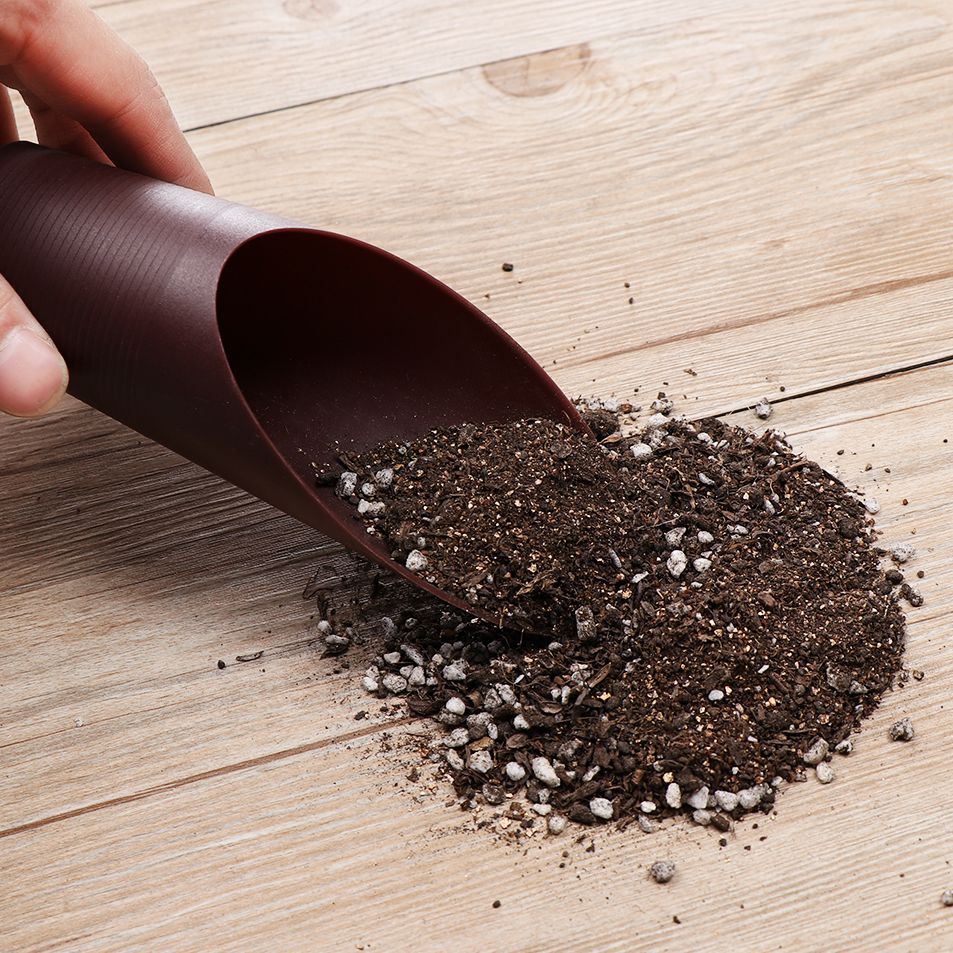 プラスチック製の庭の手入れ用の芝生の形をしたポーチ,植物が付 - Plant Parent Tools のレビューと価格
